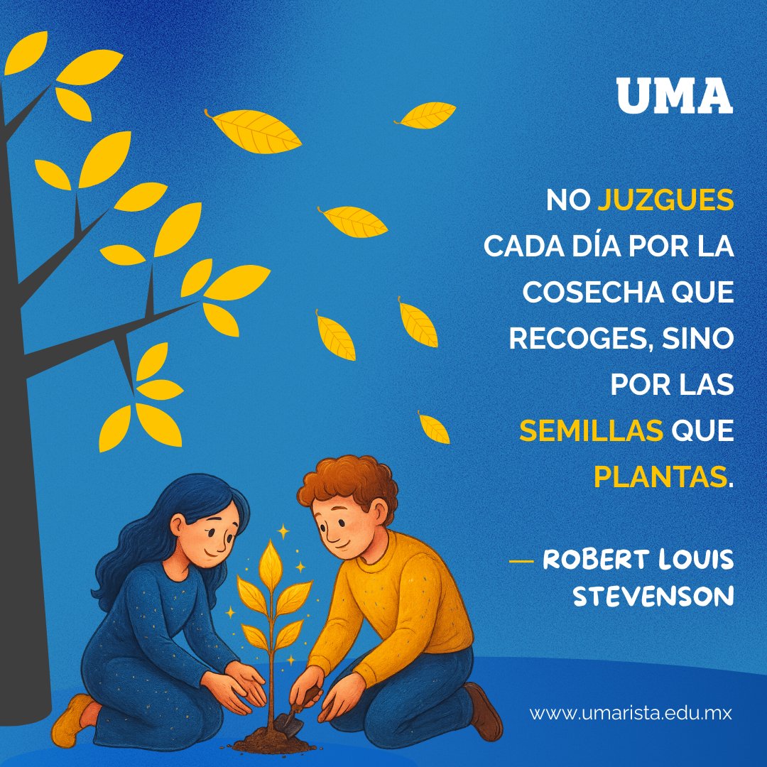Universidad Marista CDMX tweet media