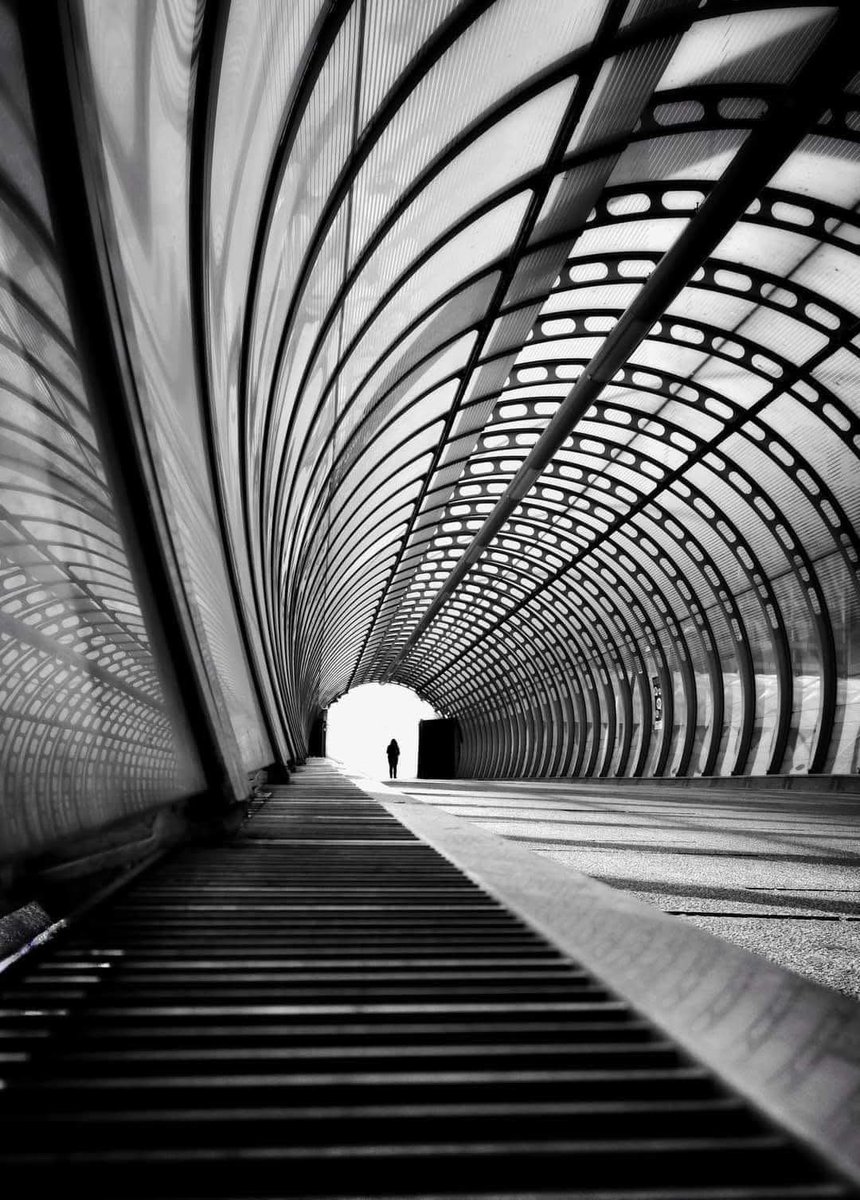 bir insanın en sahici hali en sessiz zamanlarıdır
çünkü artık hiç kimseyi ikna etmeye 
ihtiyacı yoktur…

#geceye