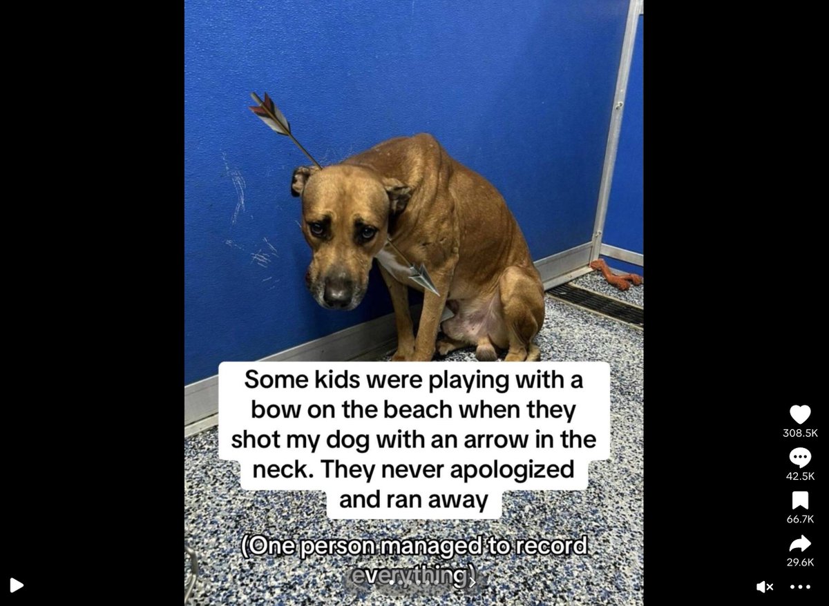 iamgdsa's tweet image. this is phenomenal