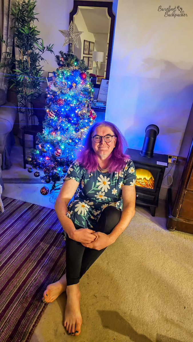 RTWBarefoot's tweet image. #TRLT &apos;ello y&apos;all on #TRLT chat. It&apos;s December. You put your tree up yet? Ours went up on 23 September, because there isn&apos;t enough happiness and sparkle and light in the world right now and we need all the #TinyJoys we can get.