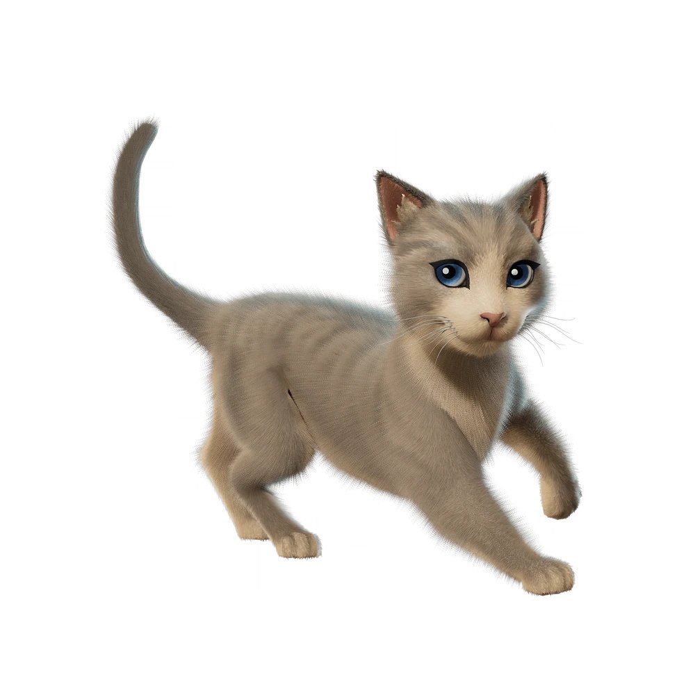FortniteFNLK's tweet photo. FORTNITE THE BEST CAT SIDEKICK!

CONTENT CREATORS STREAMERS GET IT EARLY FREE TOMORROW!

RELEASE DATE: TOMORROW WEDNESDAY DECEMBER 3 ITEM SHOP!

V-BUCKS ITEM SHOP PRICE UNKNOWN!

USE CODE ‘FNLK’ #ad https://t.co/O6ZOuxDD2n