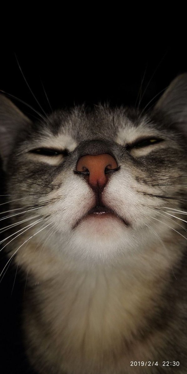 andreeseventh's tweet image. thusucvat