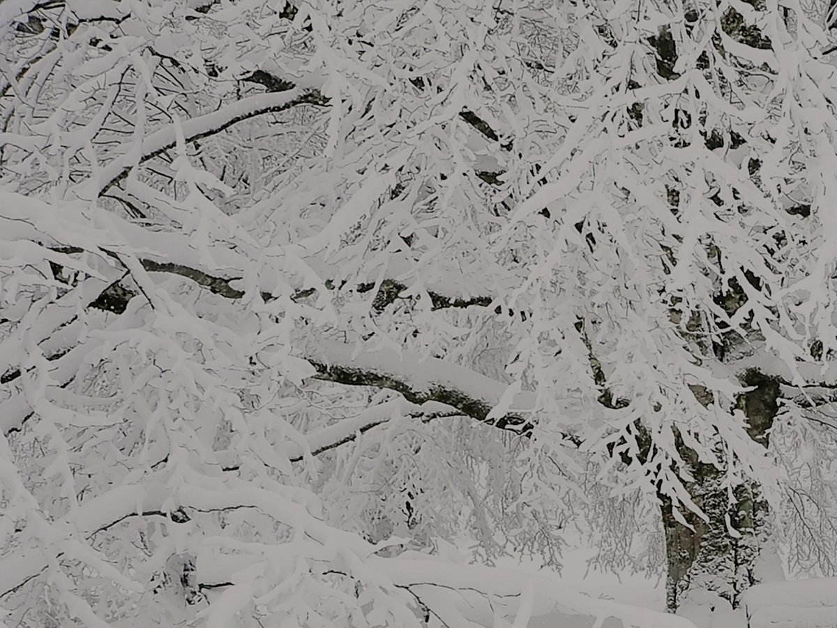 mj_companies's tweet image. In a timely fashion, this morning brought snow to Indiana! As employers, the highest priority is the safety of your employees, especially for those who are exposed to the weather. We break down prevention, preparation, and OSHA requirements on #MJInsight: hubs.la/Q03Ws3Tf0