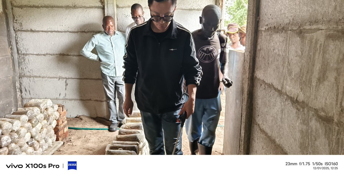 CHINA-AID JUNCAO TECHNOLOGY PROJECT IN ZIMBABWE tweet media