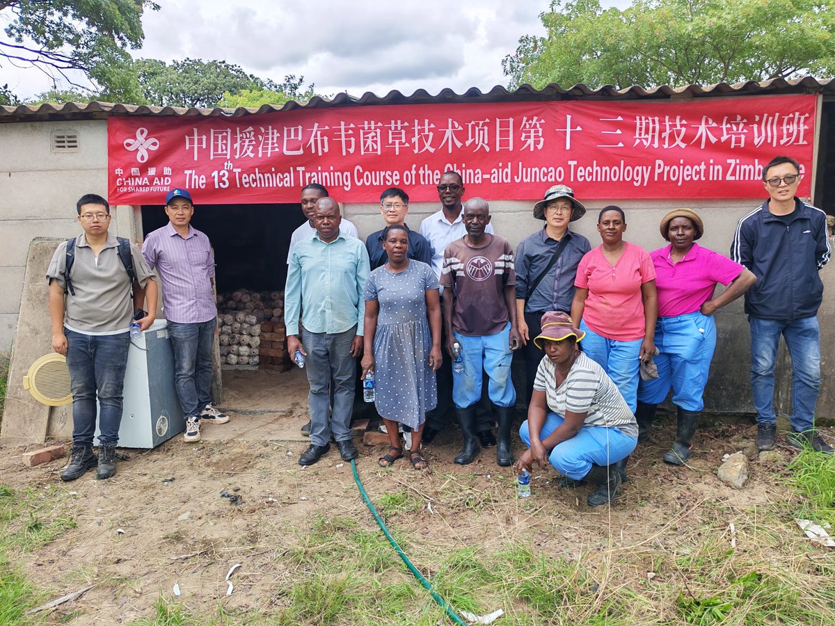 CHINA-AID JUNCAO TECHNOLOGY PROJECT IN ZIMBABWE tweet media