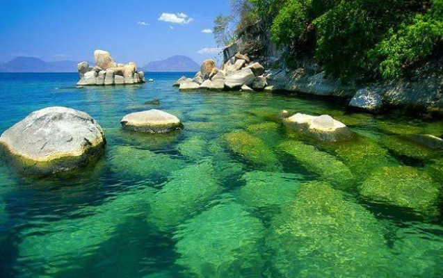 Carol L. Paur, Author tweet media