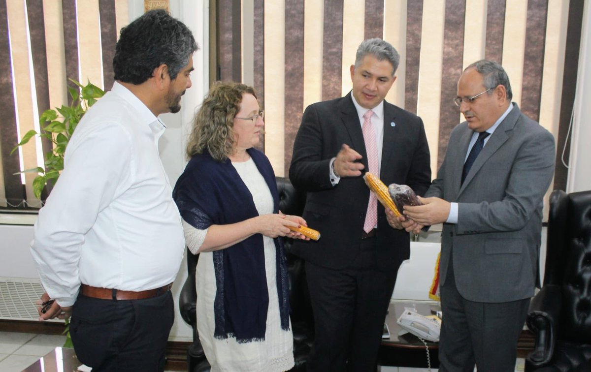 En el marco del Programa de Cooperación Sur-Sur en Agricultura Sostenible, alianza entre <a href="/APCColombia/">APC Colombia</a>  y <a href="/FAO_Colombia/">FAO Colombia</a> se realiza el study tour en algodón a #Egipto. Un espacio para fortalecer la cadena de valor del algodón con actores del sector público y privado 🇪🇬🇨🇴