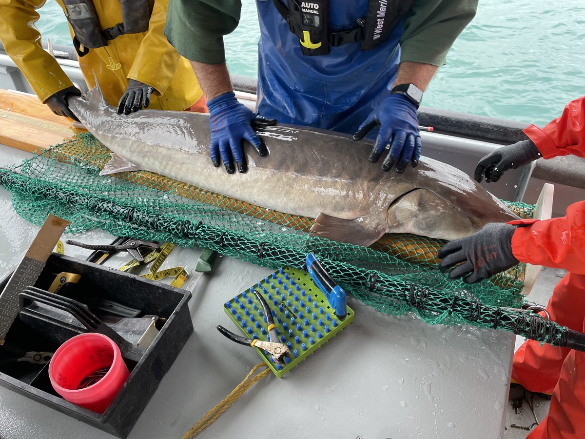 Andrew Briggs tweet media