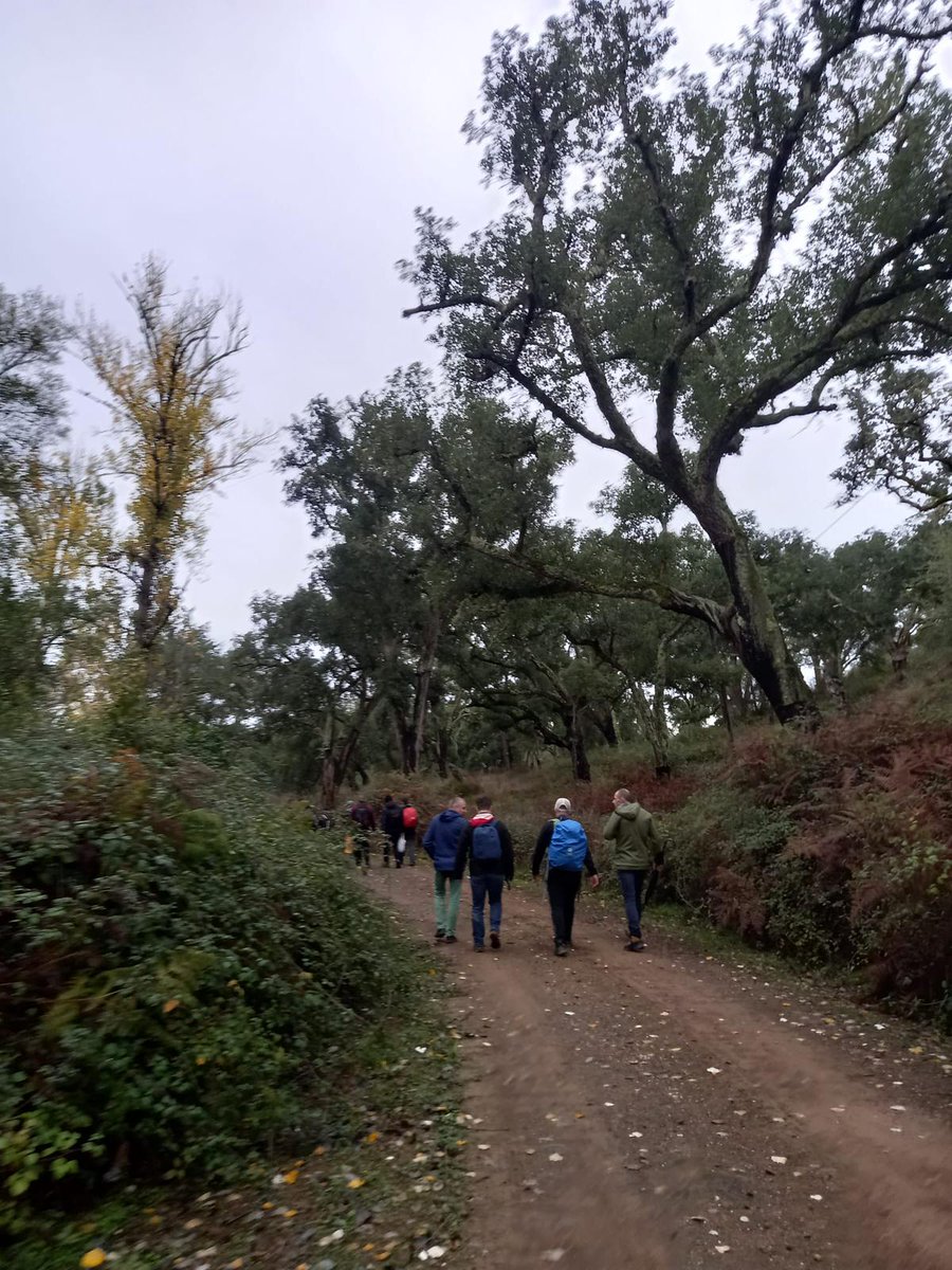 EhuStream tweet media