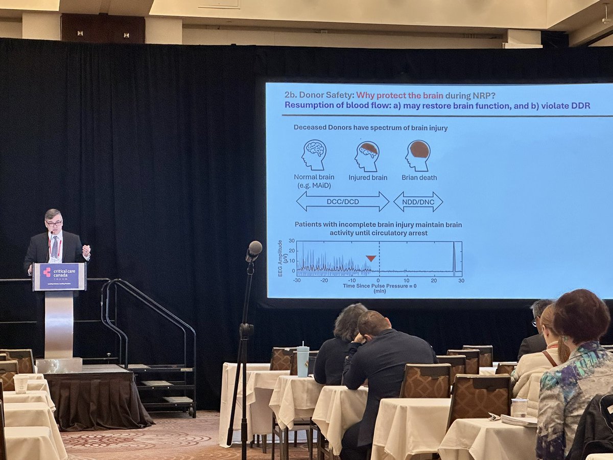 Stephen Lapinsky tweet media