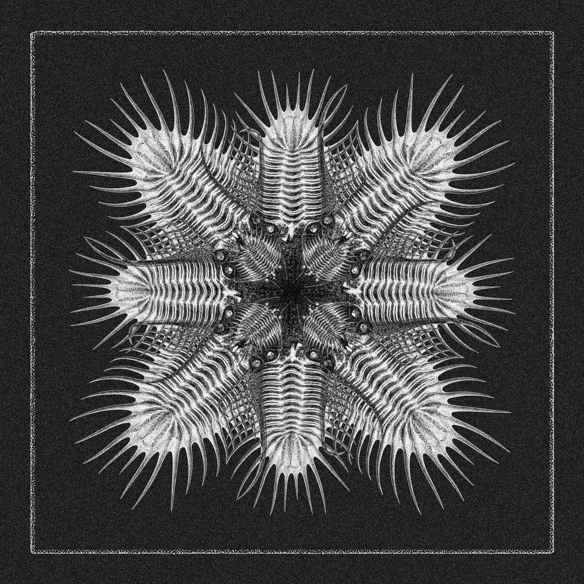 Aquaregia tweet media