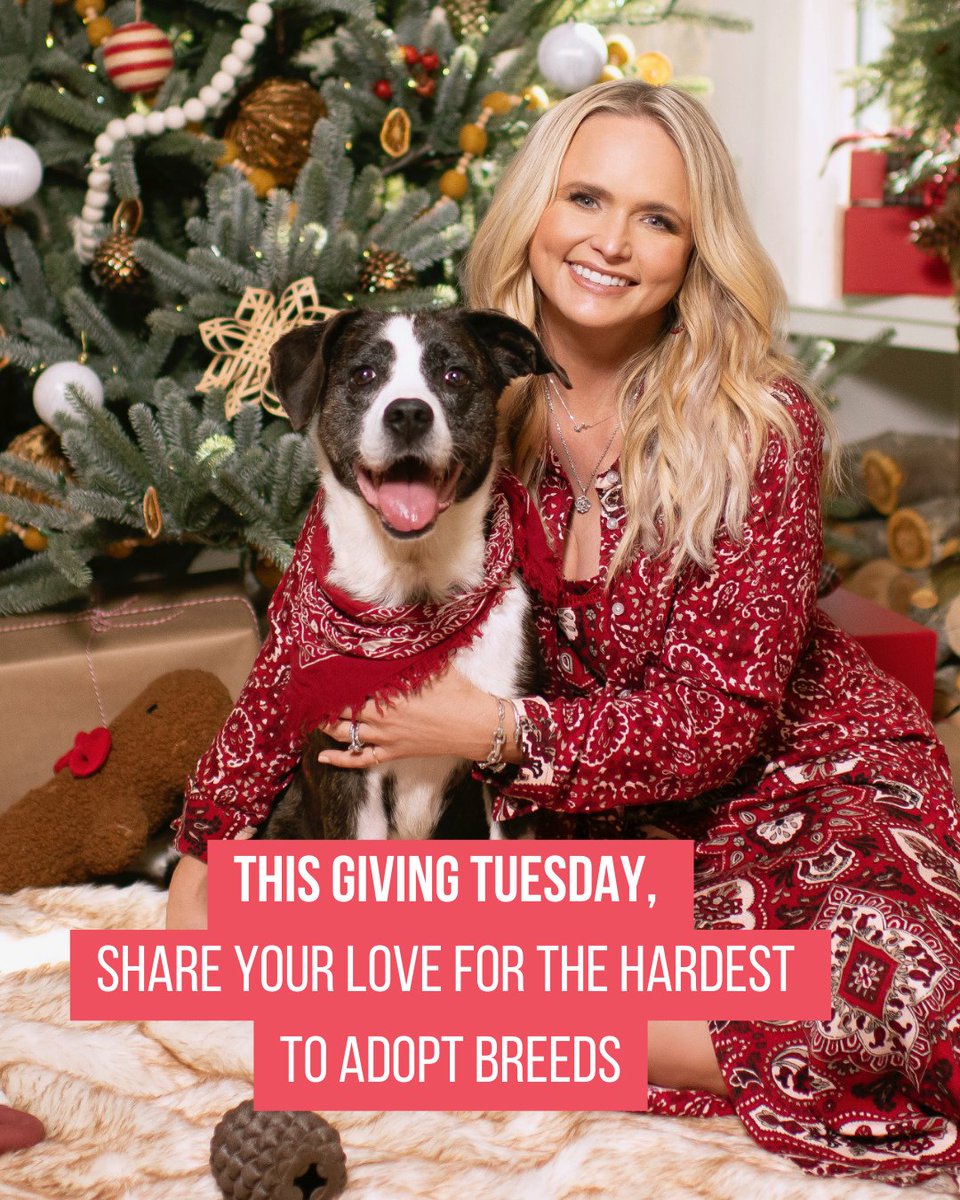 Miranda Lambert's MuttNation tweet media