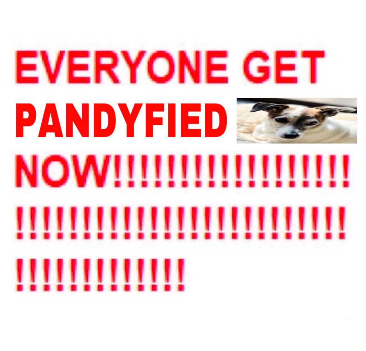 makimgeli's tweet image. IT’S PANDY’S BDAY!!!!!!!!