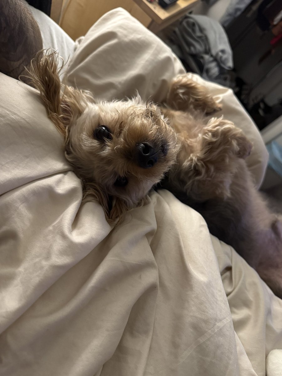 Roger rather be with John 😂🤷🏻‍♀️😍❤️