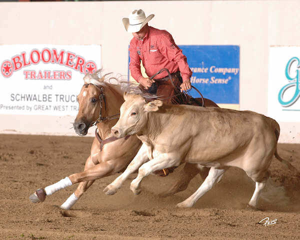 CD DIAMOND is a GOLD BUCKLE FUTURITY STALLION.
CD Diamond offspring are eligible to compete in Gold Buckle Futurity produced events. CD Diamond was the 2024 Gold Buckle Futurities Leading Sire.