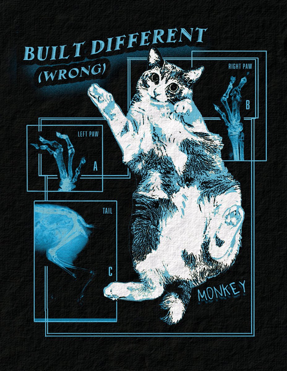 catwheezie's tweet image. Monkey is built differently...(wrong)!! !