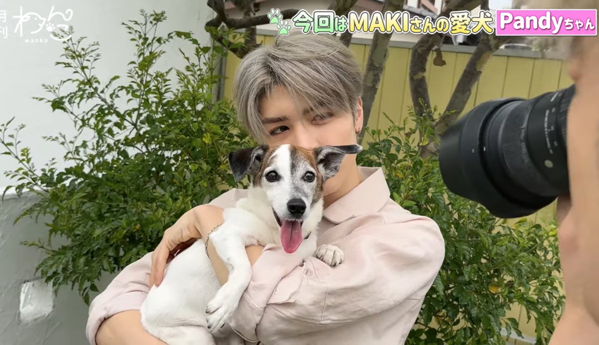 チェリ 체리🍒 ⟭⟬⁷ (@cherry123095) / Posts / X