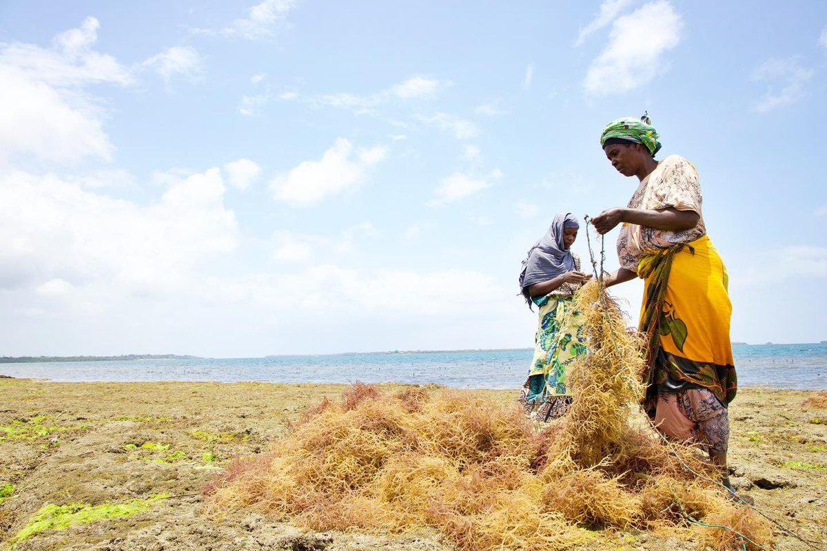 Hassan Ali Joho, EGH. tweet media