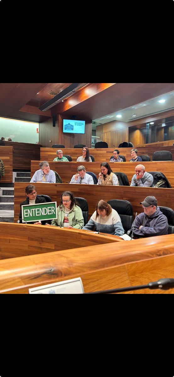IUgrupoJGPA's tweet image. Mañana se celebra el Día Internacional de las Personas con Discapacidad en @JuntaAsturias celebramos un pleno inclusivo con usuarios de los centros de Fasad. El 15% de la población mundial vive con algún tipo de discapacidad: necesitamos una sociedad inclusiva y accesible,