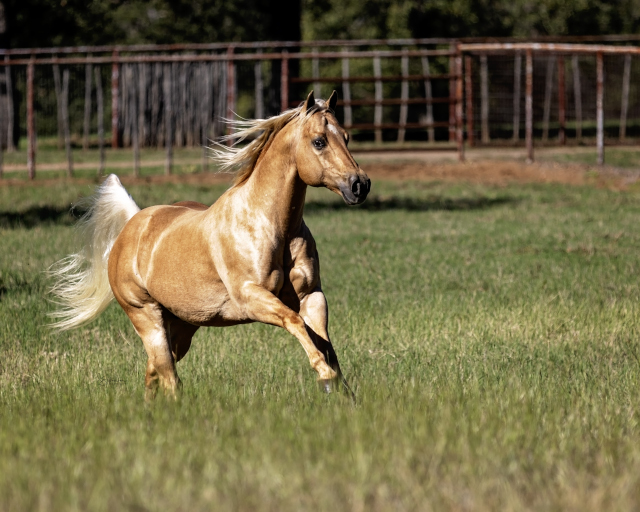 Merry Christmas 🎅🎄