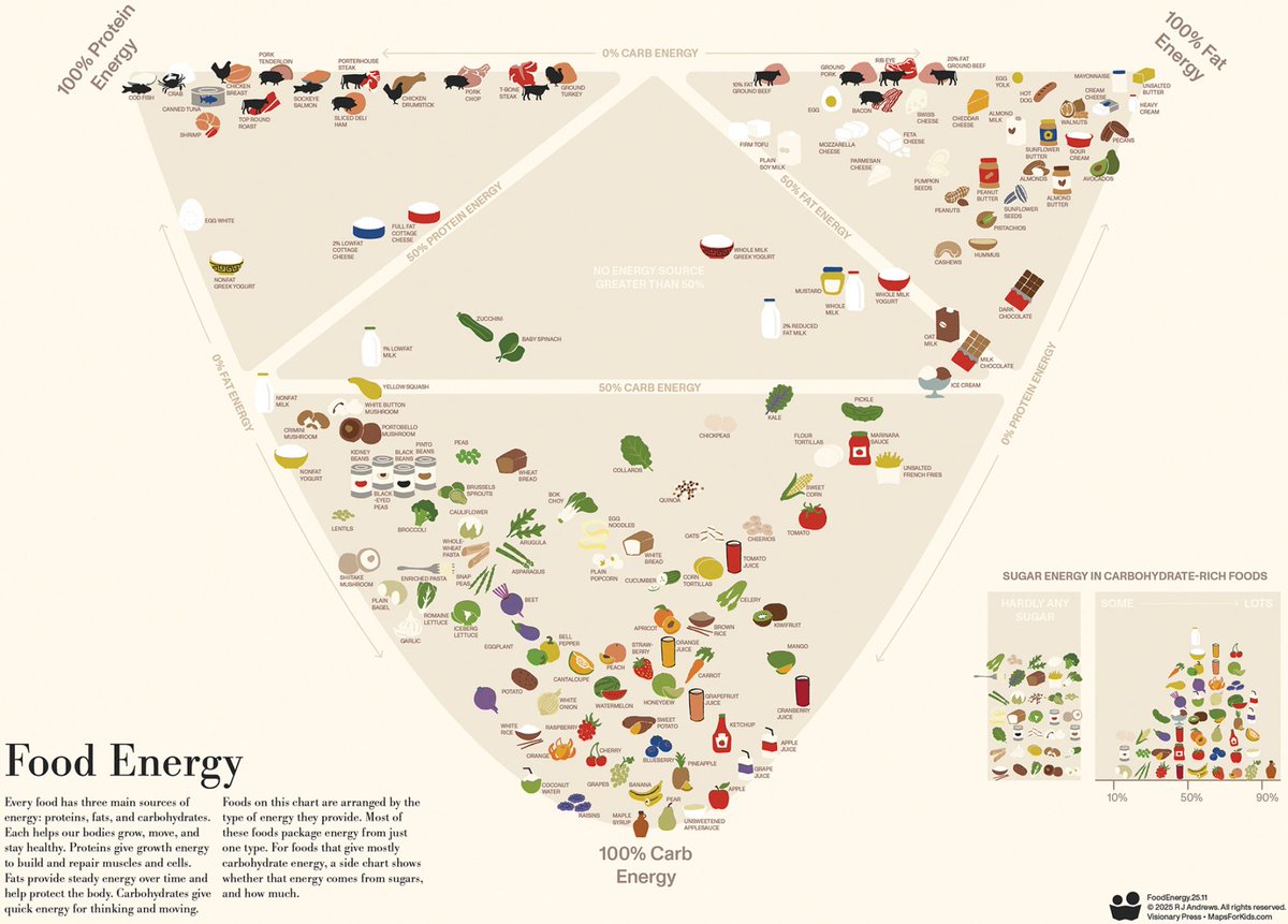 Datawrapper's tweet image. Hooray! We just released a new Data Vis Dispatch. Are you ready for visualizations ranging from Michelin start ⭐ to novels 📚? 

Read the full Dispatch here: datawrapper.de/blog/data-vis-…