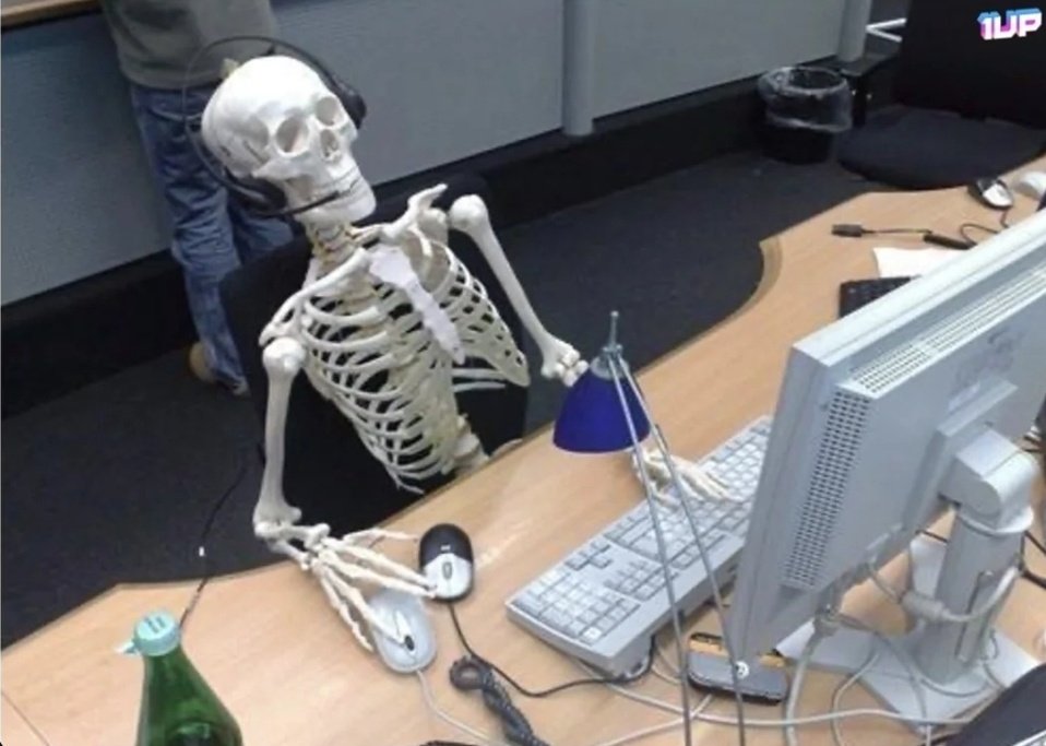 Waiting for a job reply in 2025 be like :