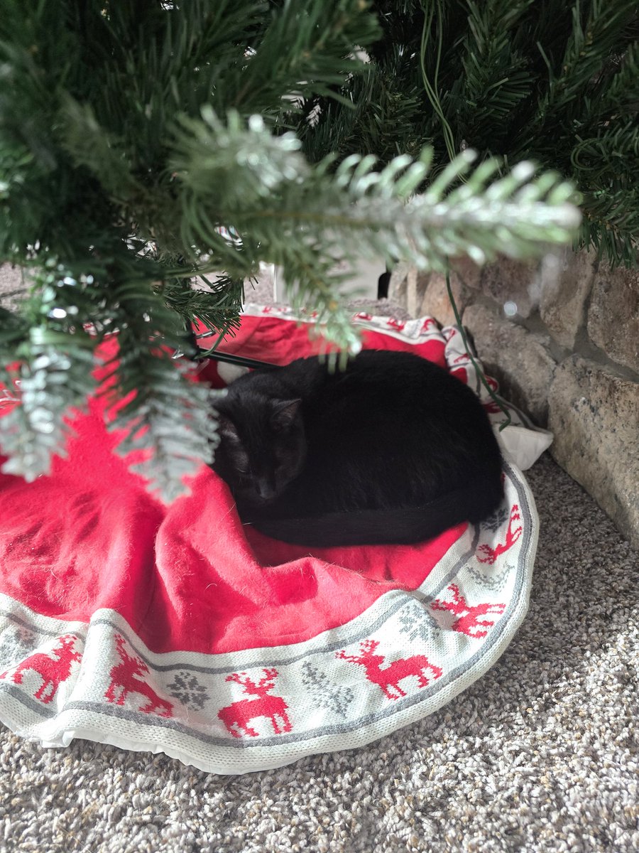 GeneralElost tweet media