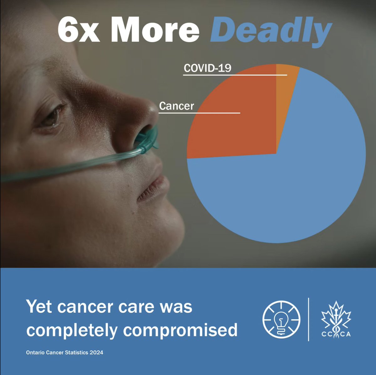 Canadian Citizens Care Alliance tweet media