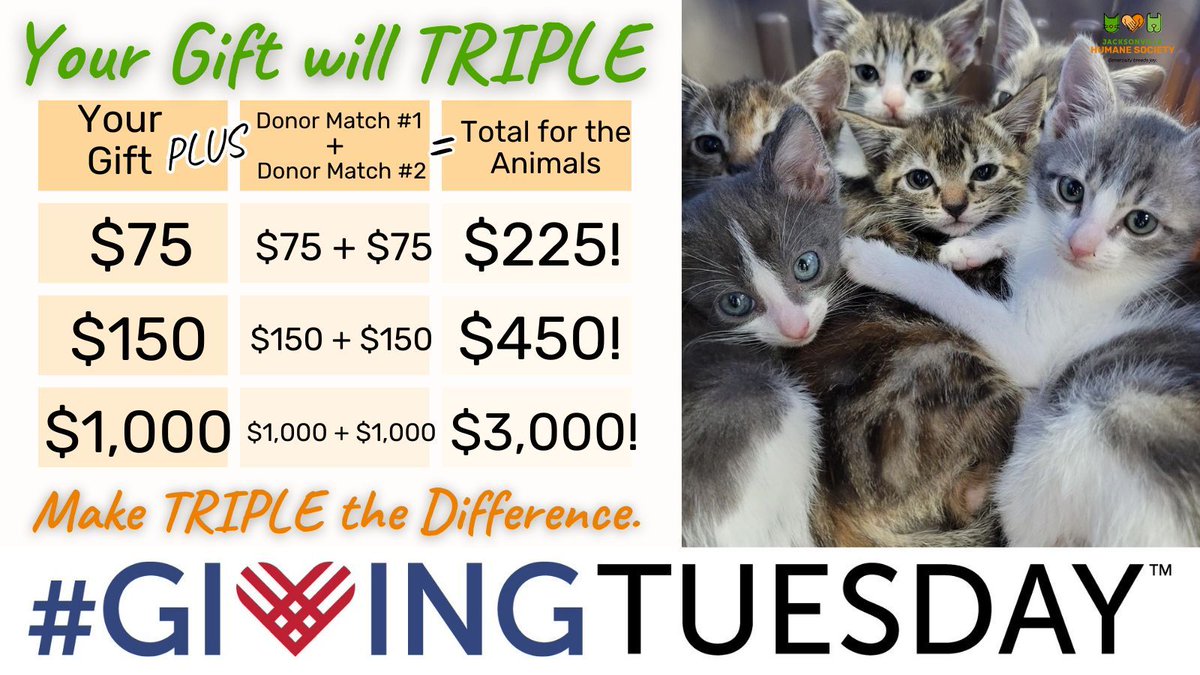 Jax Humane Society tweet media