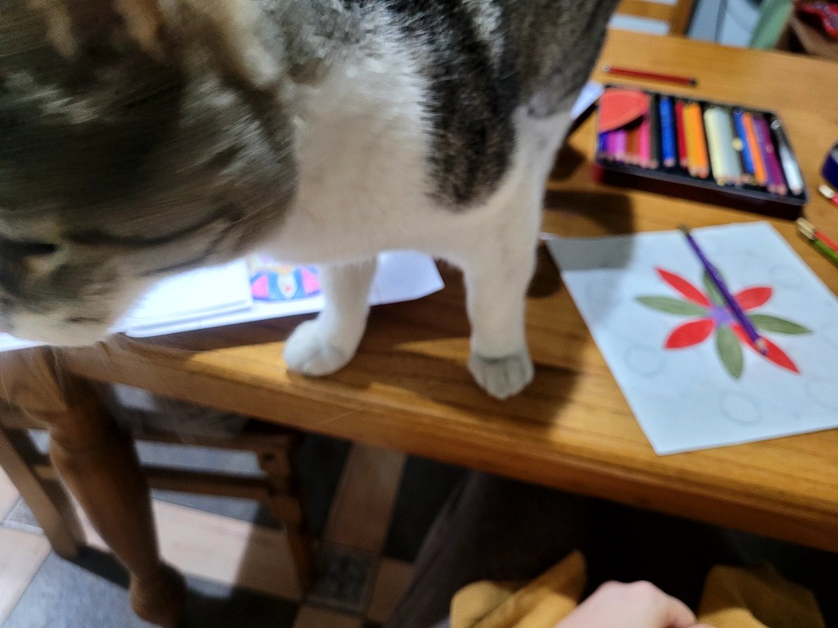 qaptANA's tweet image. Este gato no es mío.  Él cree que vive acá. #Vago #Gatites  ocupa y atrevido.