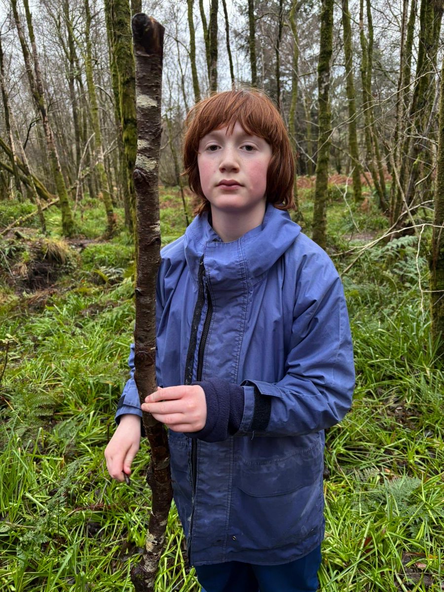 Alexandra Parade PS tweet media