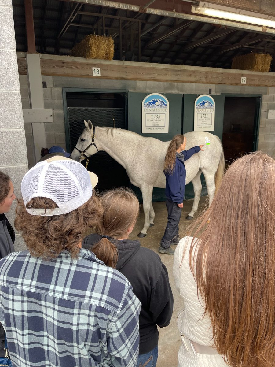 Amplify Horse Racing tweet media