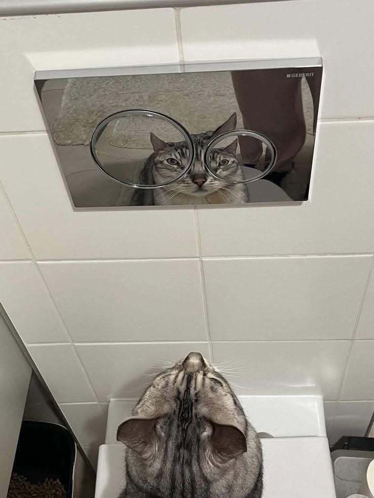 EverythingOOC's tweet image. Goofy car