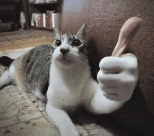 ThatAetherBoi's tweet photo. @DuskStudioGames WOWIE I SURE DO WISH YOU LUCK [Amigo Murtins] https://t.co/d2t0PDVhIX
