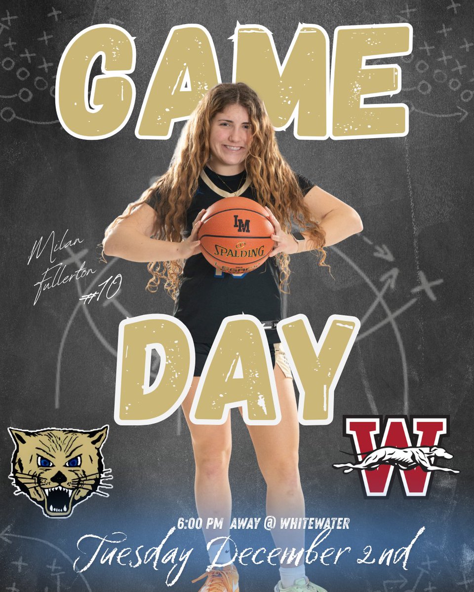 Lake Mills Athletics tweet media