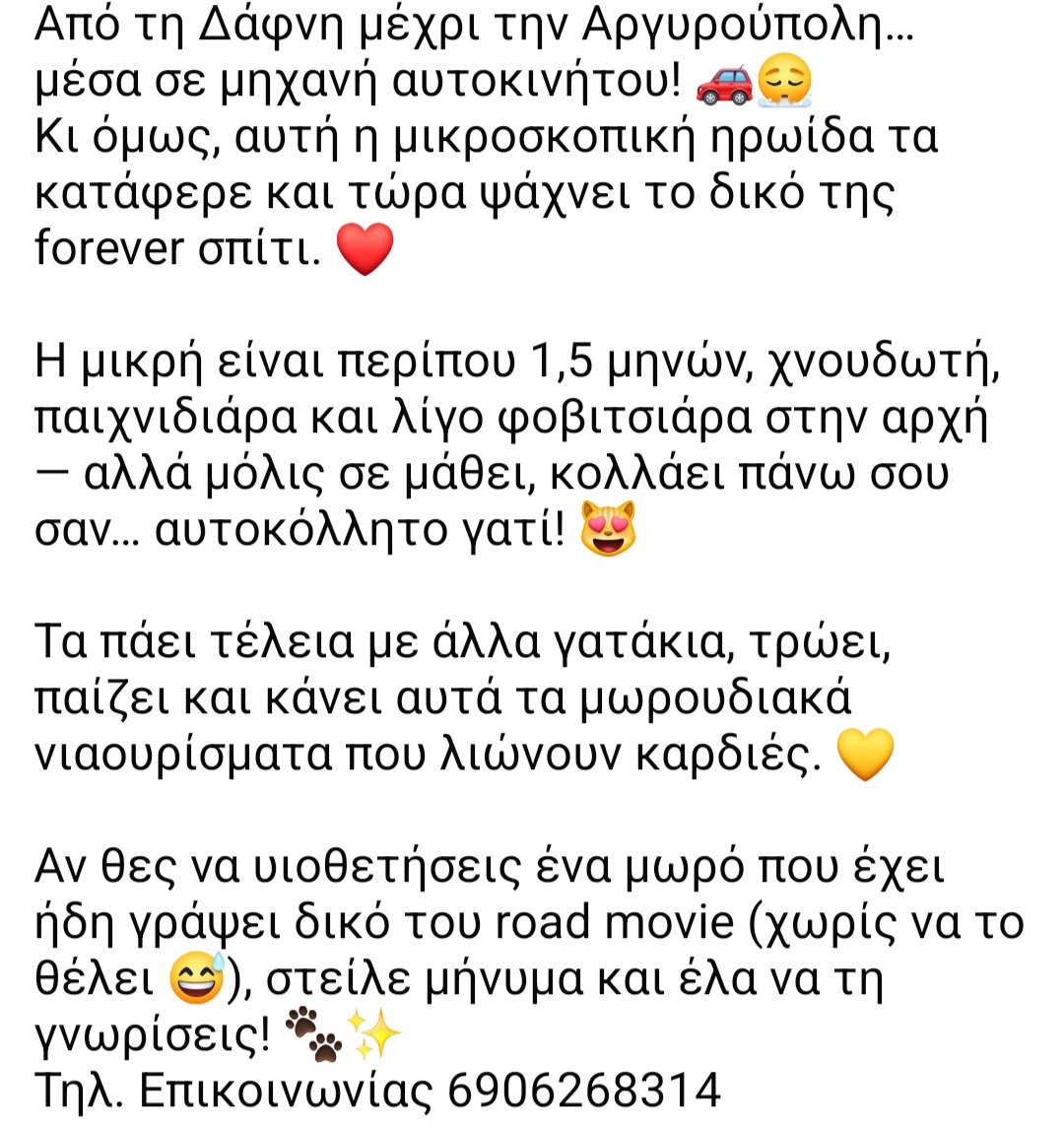 🆘️🆘️🆘️
Από Δάφνη μέχρι Αργυρούπολη μέσα σε μηχανή αυτοκινήτου
Κ όμως η μικρή τα κατάφερε κ ψαχνει το παντοτινό της σπίτι 
1.5 μηνών χνουδομπαλα,παιχνιδιαρα,τα πάει πολύ καλά με άλλα γατάκια
Ένας άνθρωπος για την μικρούλα;
Rt 🙏 🙏 🙏
