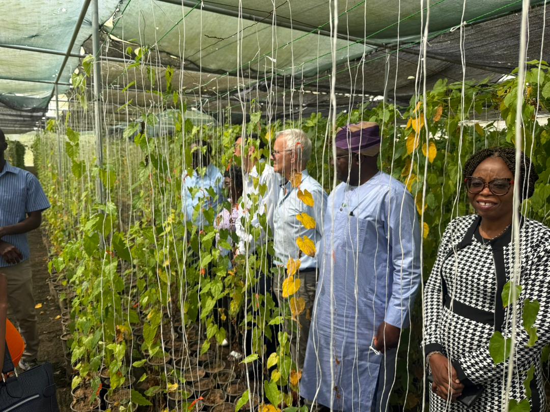 Fed Min of Agric & Food Security tweet media