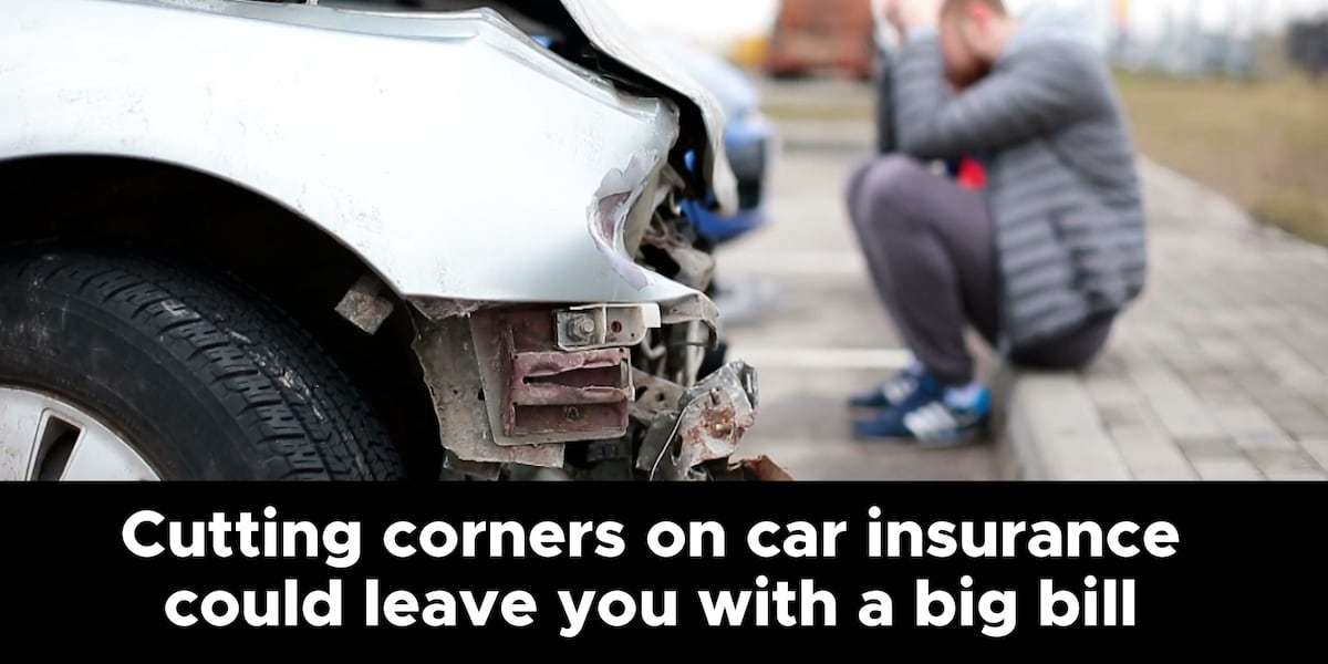 RStewartPerry's tweet image. (InvestigateTV) — The cost of car insurance can vary greatly depending on location, amount of coverage needed, and other factors – but the most important thing for drivers is to make sure they are ... st8.fm/4iuRLZw