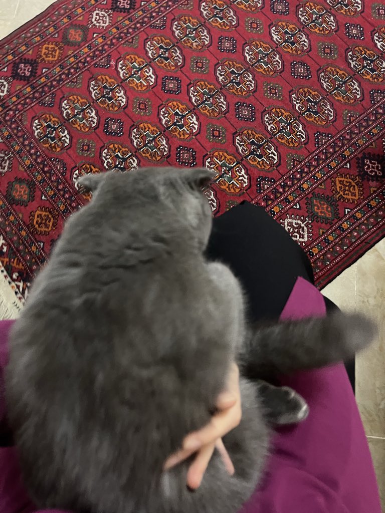 someone else (@someeonee_else) on Twitter photo 