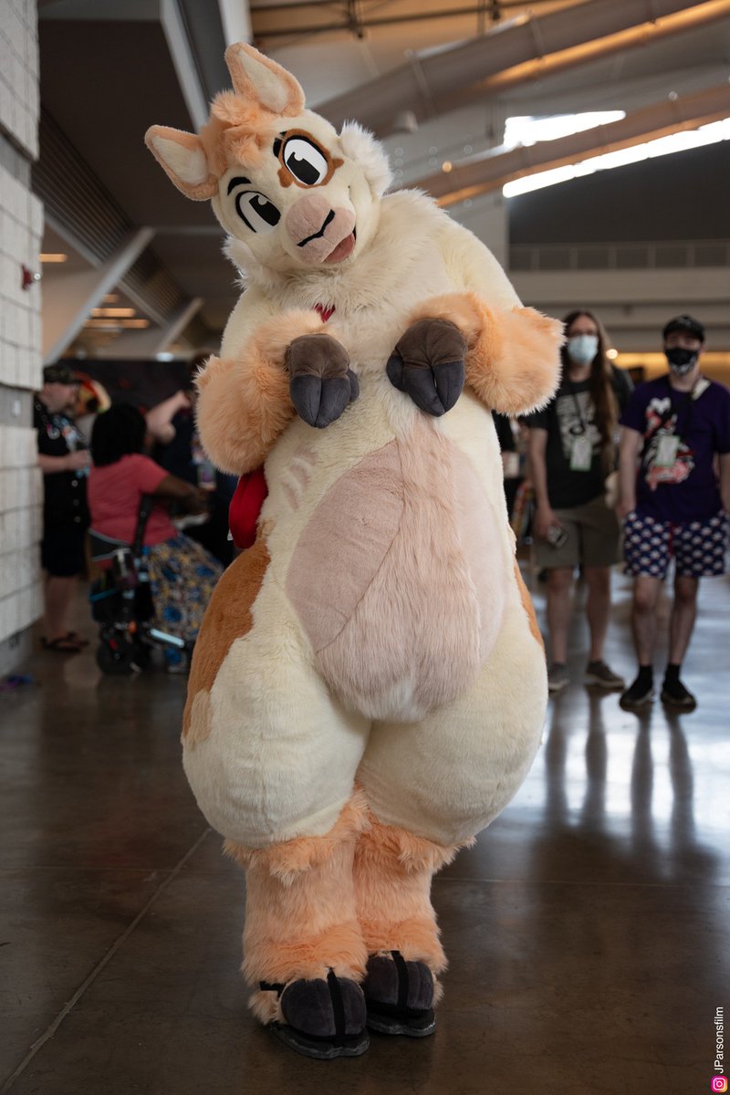 Brae.gay on 🟦🌤️ @ ANE tweet media