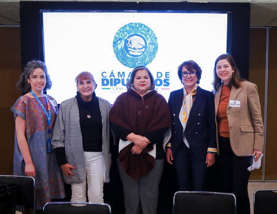 Pat_MercadoC's tweet image. Sostuvimos un diálogo con representantes del sector privado desde el Grupo de Trabajo en materia de #Cuidados de la Cámara de Diputadas y Diputados, junto a @OITMexico y @SE_mx.

Son muchas las medidas que se pueden tomar para redistribuir estas tareas y facilitar la inserción de…