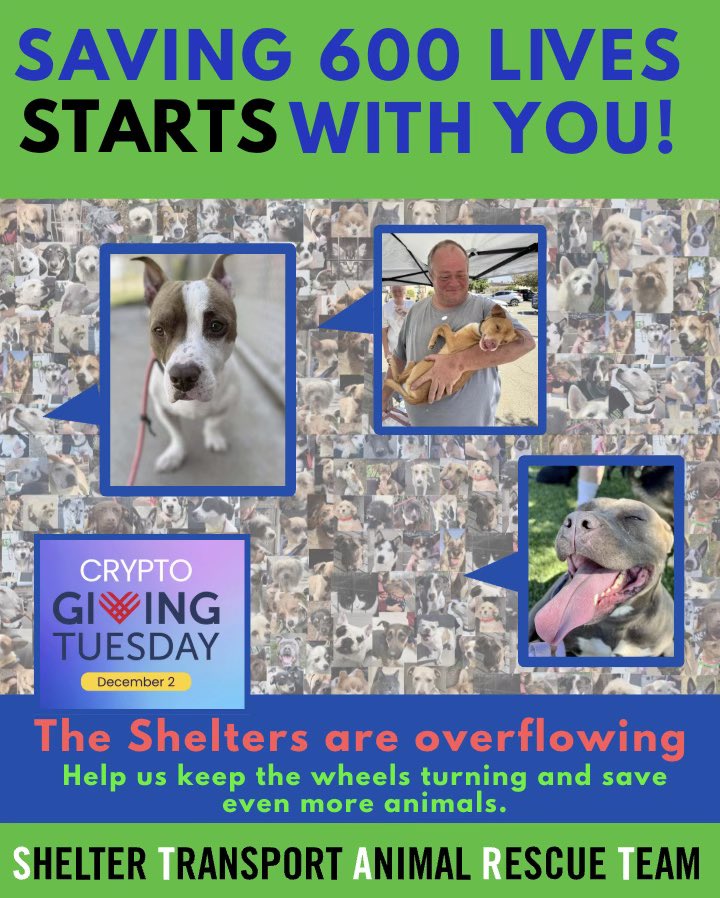 START Rescue tweet media