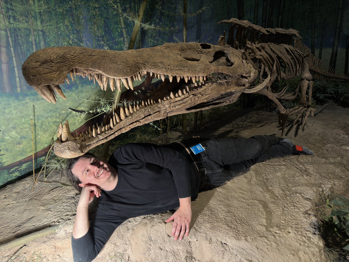 Podokesaurus Project tweet media