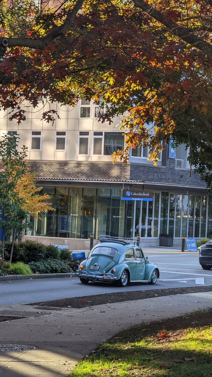 curious_stack0's tweet image. Fall over the years