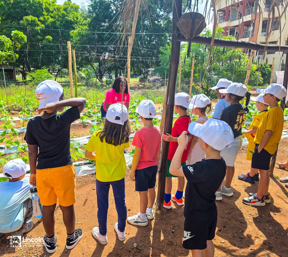 LCSGhana's tweet photo. We returned to school with seeds, soil, watering cans & beautiful new caps! A huge thank you to our wonderful class parents, Piwang & Rens, for making this experience possible! #CommunityGarden #LCSGhana #learningthroughnature #FutureFarmers https://t.co/7gutyS2Lci