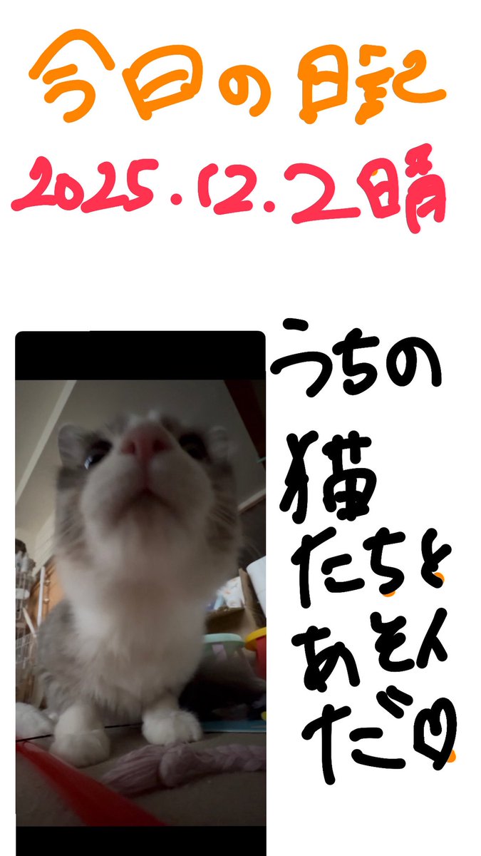 ゆた (@ch_kooa) on Twitter photo 