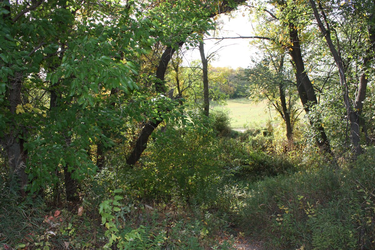 WilderPageant's tweet image. The production of "Chasing the Dream", Act One Scene 6 "Patience Dear William". Charles is wondering about the wheat crop and his tree claim. Bill Richard's notes in the script:  "1875 06 02 Tree Claim about 3 miles NE of Walnut Grove and relinquished it on 1878 03 01."