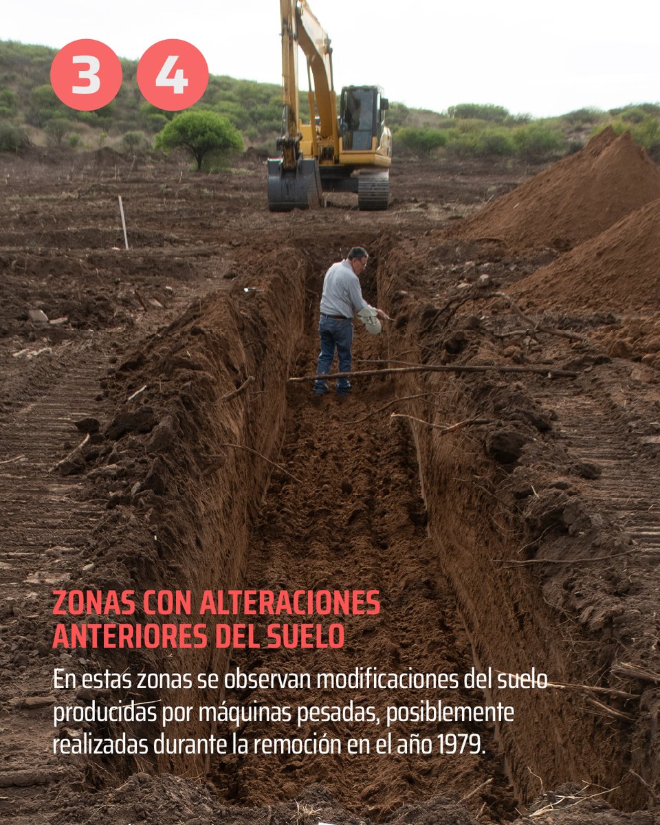 Equipo Argentino de Antropología Forense tweet media