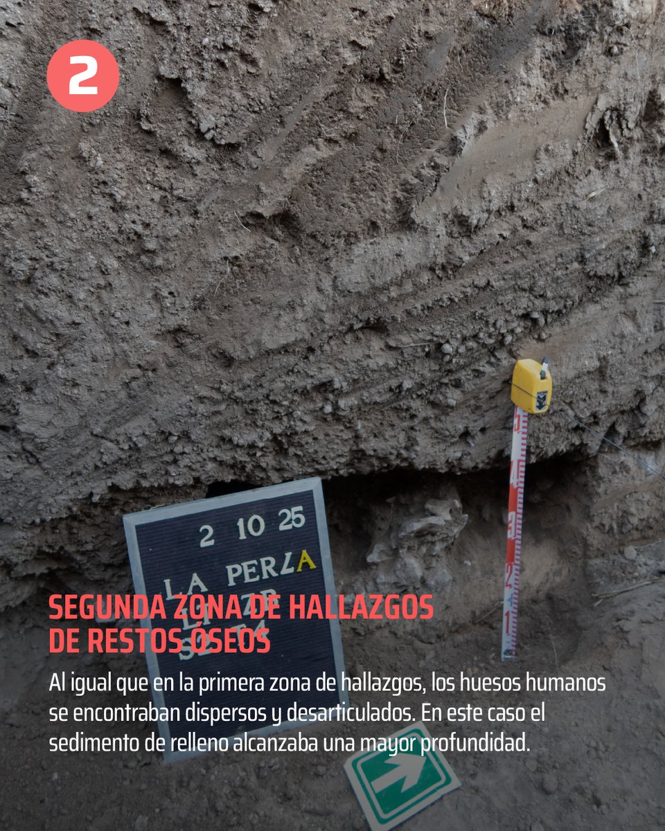 Equipo Argentino de Antropología Forense tweet media