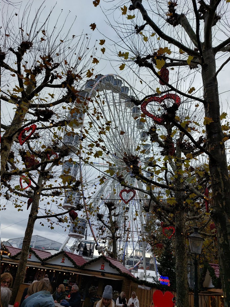 mathildeontwit's tweet image. Het Vrijthof in kerstsfeer #Maastricht @magnifiekZL
Fijne avond! 🌲🎅